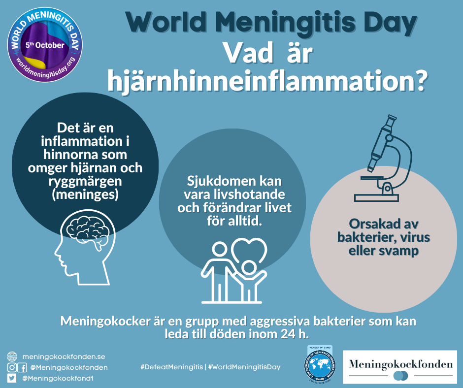 6/9-2025: Vad är och orsakar meningit?
