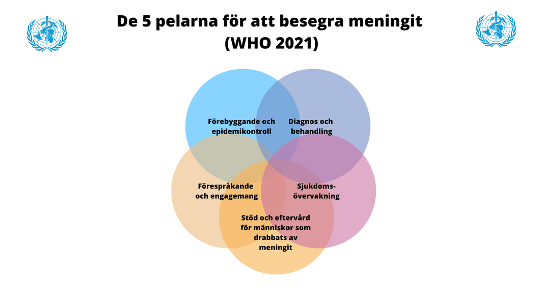 En global plan för att besegra meningit till 2030