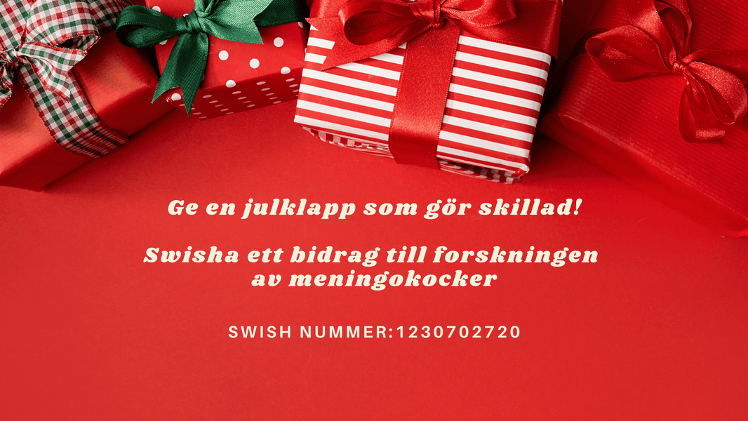 En Julklapp som gör skillnad