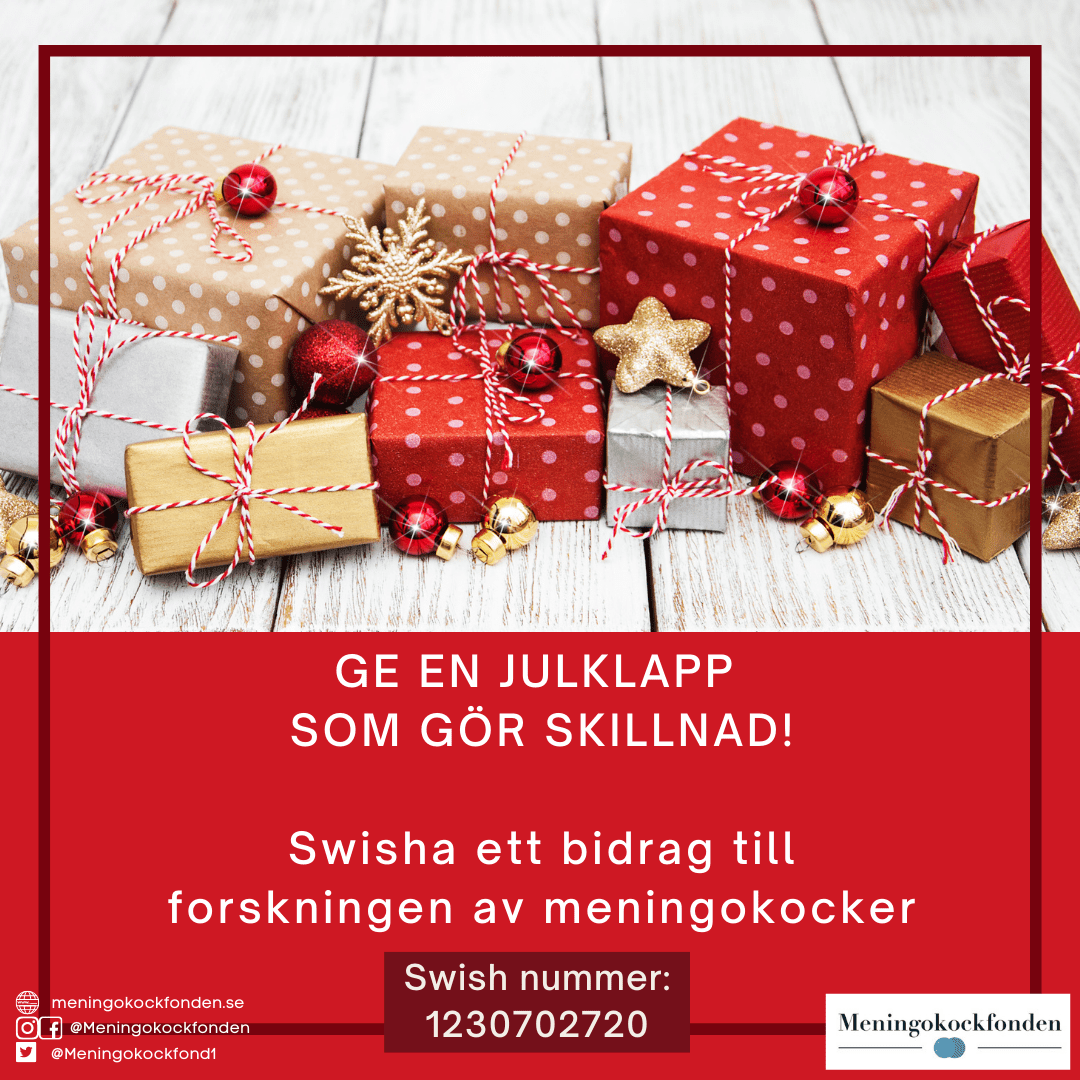 Julklapps bidrag till forskning